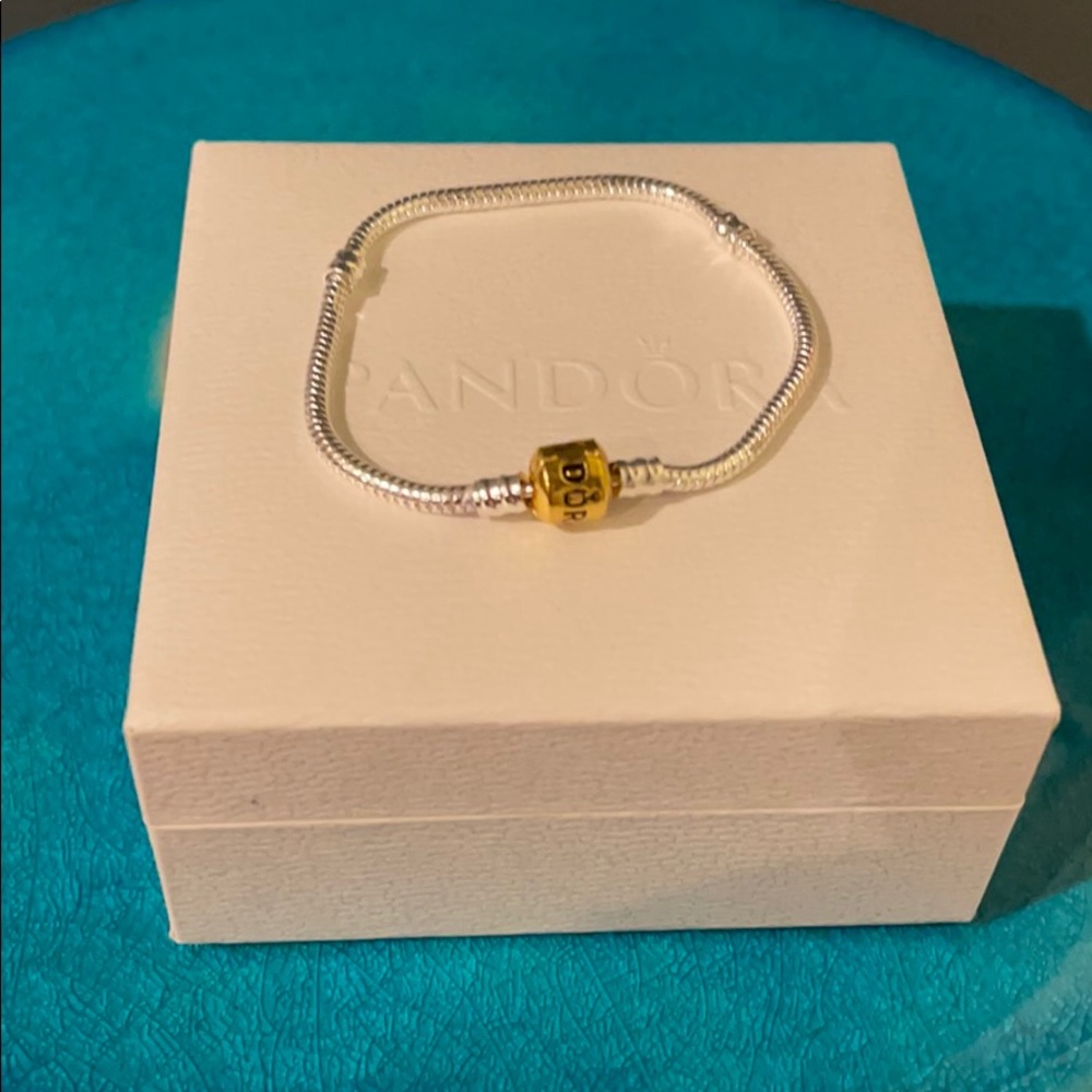 Pandora charm bracelet